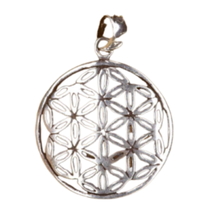 Zilveren hanger Flower of life